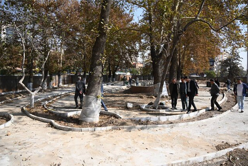 درختان میدان تجریش تهران جراحی می‌شوند